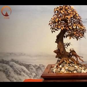 Meet your Posher, Nam